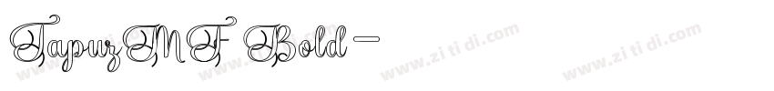 TapuzMF Bold字体转换